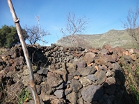 nte Mojo-30122011 071